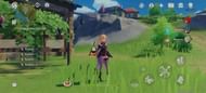 4 Radishes can be farmed at the cottages (Image via Genshin Impact)